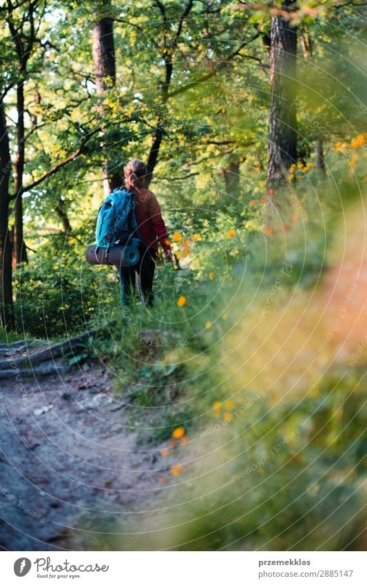 Wanderin mit Rucksack beim Waldwandern während der Sommerreise Lifestyle schön Erholung Freizeit & Hobby Ferien & Urlaub & Reisen Abenteuer Freiheit Mensch Frau