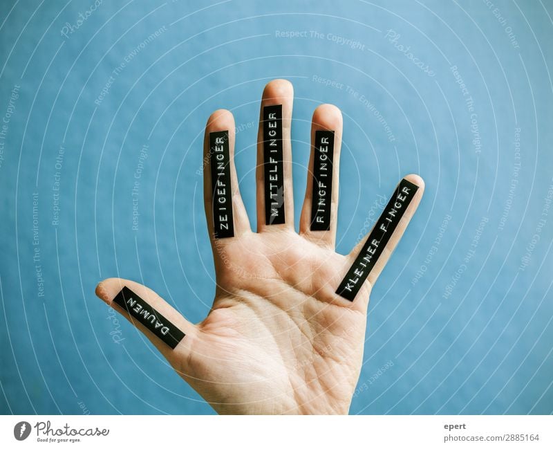 Finger kleiner zeigefinger und handzeichen bedeutung