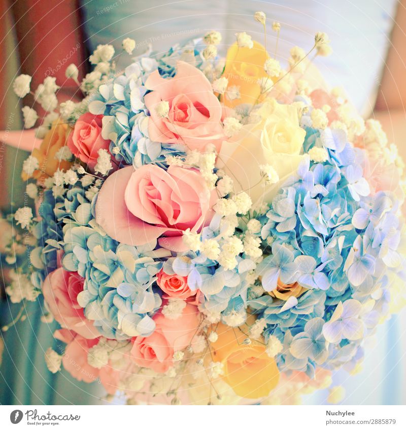 Braut oder Brautjungfer mit Blumenstrauß, Nahaufnahme elegant schön Dekoration & Verzierung Feste & Feiern Hochzeit Frau Erwachsene Arme Hand Mode Kleid Schnur