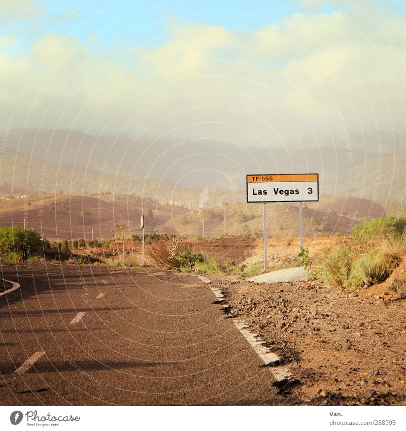 Viva Las Vegas Landschaft Erde Himmel Wolken Sträucher Hügel Felsen Teneriffa Straße fahren Schilder & Markierungen Verkehrsschild Farbfoto mehrfarbig