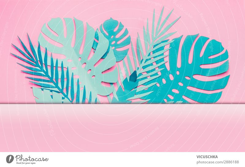 Verschiedene tropische Blätter Rahmen kaufen Stil Design Sommer Natur Blatt Dekoration & Verzierung trendy rosa Hintergrundbild Entwurf türkis modern Border