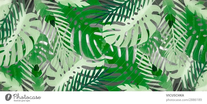Tropischer Blätter Hintergrund . Stil Design Spa Sommer Garten Natur Blatt Oase Dekoration & Verzierung Fahne Hintergrundbild tropisch Urwald Palmenwedel