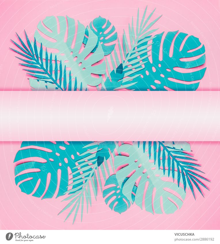 Verschiedene türkis blaue tropische Blätter Stil Design Sommer Natur Blatt Papier Dekoration & Verzierung Fahne trendy rosa Hintergrundbild Poster Palmenwedel