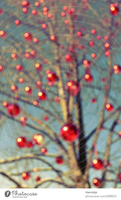 weihnachtsbaum Feste & Feiern Weihnachten & Advent Herbst Winter Baum blau rot Christbaumkugel Weihnachtsbaum Blase Punkt gepunktet Weihnachtsmarkt Lichtpunkt