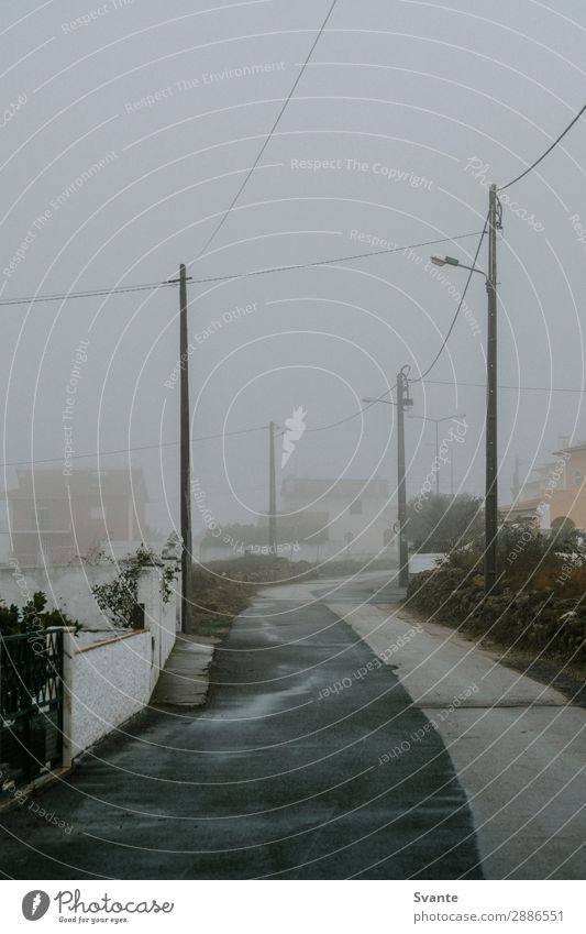 Neblige Straße in Ericeira, Portugal Umwelt Nebel Regen nass Stimmung Nebellandschaft Asphalt geheimnisvoll Stadt schlechtes Wetter Farbfoto Menschenleer Morgen
