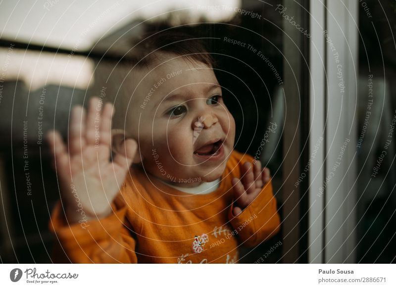 Baby durchs Fenster Lifestyle Wohnzimmer Mensch Kind Kleinkind Mädchen 1 1-3 Jahre T-Shirt beobachten berühren Lächeln Spielen authentisch Coolness Zusammensein
