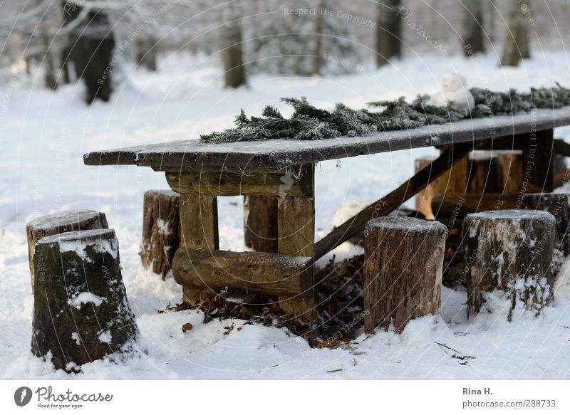 Bei den sieben Zwergen Winter Schnee Wärme Wald authentisch kalt natürlich Märchen Holztisch Baumstumpf Sitzgelegenheit Tischdekoration Tannenzweige rustikal