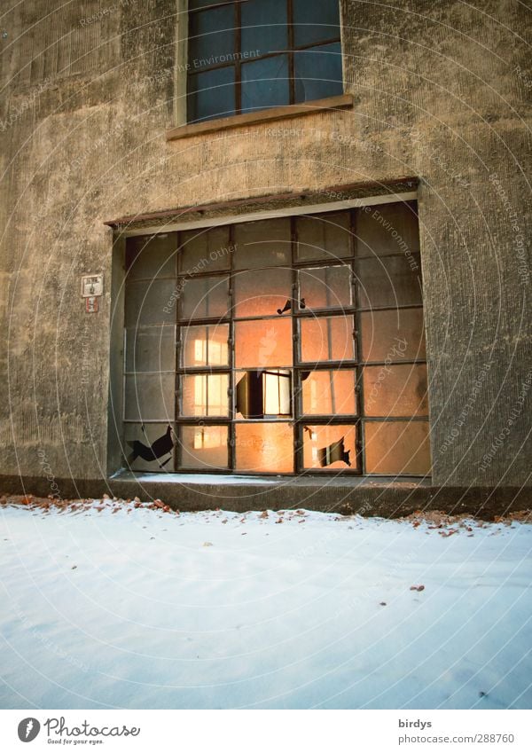 Fenster Winter Schnee Industrieanlage Bauwerk Sprossenfenster leuchten alt authentisch kaputt Originalität Stadt Krise Zerstörung Fassade Farbfoto Außenaufnahme