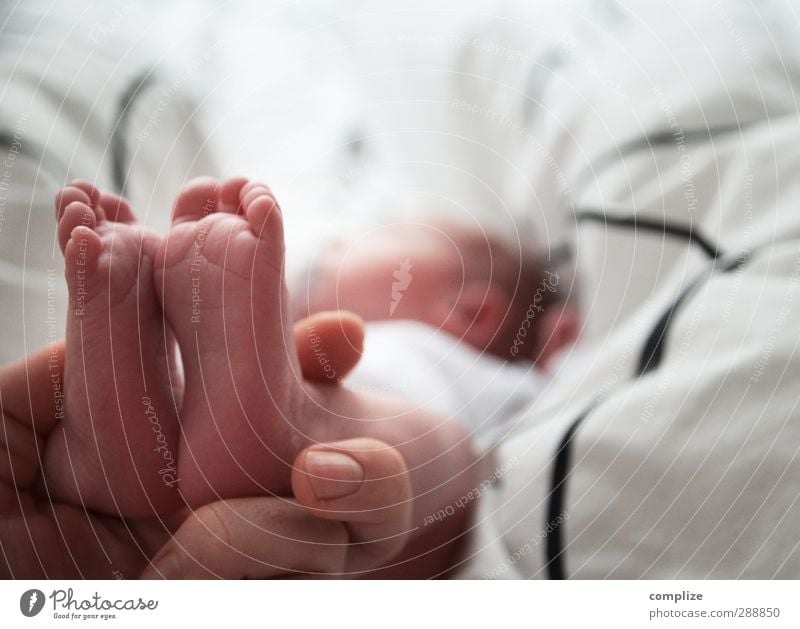 Füssli Gesundheit Sinnesorgane Erholung ruhig Häusliches Leben Wohnung Innenarchitektur Bett Kindererziehung Baby Hand Finger Fuß 2 Mensch 0-12 Monate schlafen