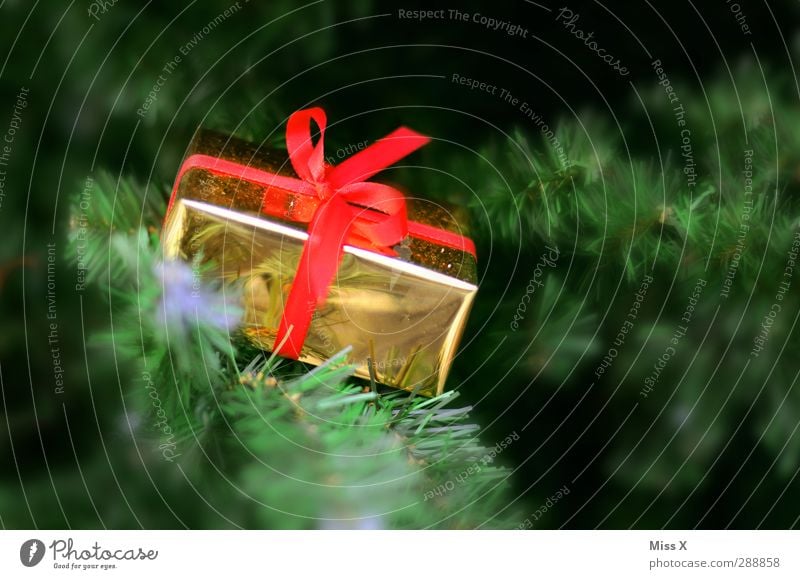Für Dich Feste & Feiern Weihnachten & Advent Geburtstag Winter Baum glänzend gold rot Weihnachtsgeschenk Paket Schleife Geschenk Tanne Ast Tannennadel Farbfoto