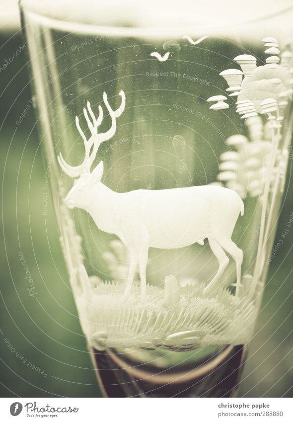 Glasmeister trinken Landwirtschaft Forstwirtschaft Kitsch kräuterschnaps Likörglas Alkoholsucht leeres glas Hirsche Gravur Sechziger Jahre Fünfziger Jahre