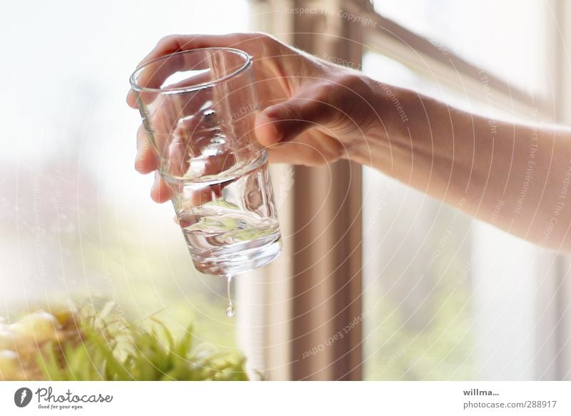 Hand mit Wasserglas Getränk Trinkwasser Glas festhalten Durst Erfrischungsgetränk Durstlöscher Gesundheit Gesunde Ernährung lebenswichtig Wasserhaushalt