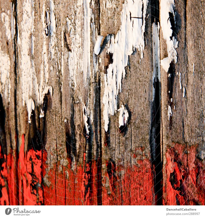 weiß & rot Kunst Holz alt Farbe Zerstörung Lack trocken Bruch abblättern bemalt streichen Holzfaser Strukturen & Formen Linie Maserung Renovieren Himmel Hölle
