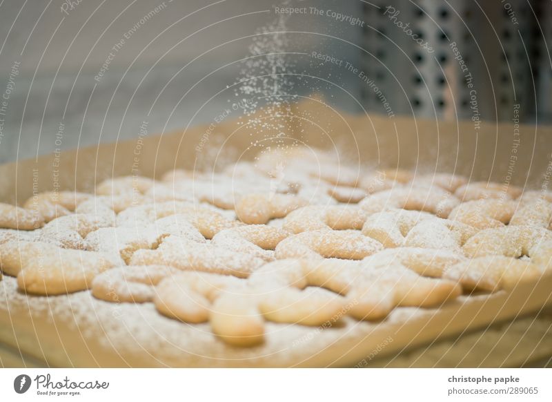 In der Weihnachtsbäckerei Lebensmittel Teigwaren Backwaren Küche Duft süß Zucker verteilen Vanillekipferl Haus Weihnachten & Advent Backblech Farbfoto