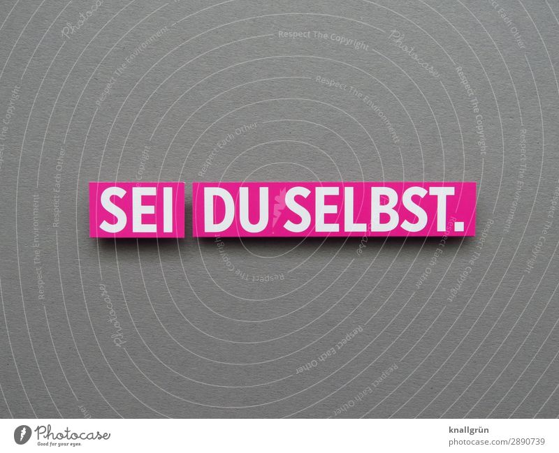 SEI DU SELBST. Schriftzeichen Schilder & Markierungen Kommunizieren authentisch grau rosa weiß Gefühle Zufriedenheit selbstbewußt Identität Farbfoto