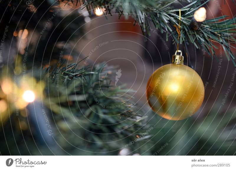 recycling-tanne Weihnachtsbaum Christbaumkugel Lichterkette Kunststoff glänzend leuchten Kitsch gold grün Gefühle Stimmung Freude Glück Fröhlichkeit