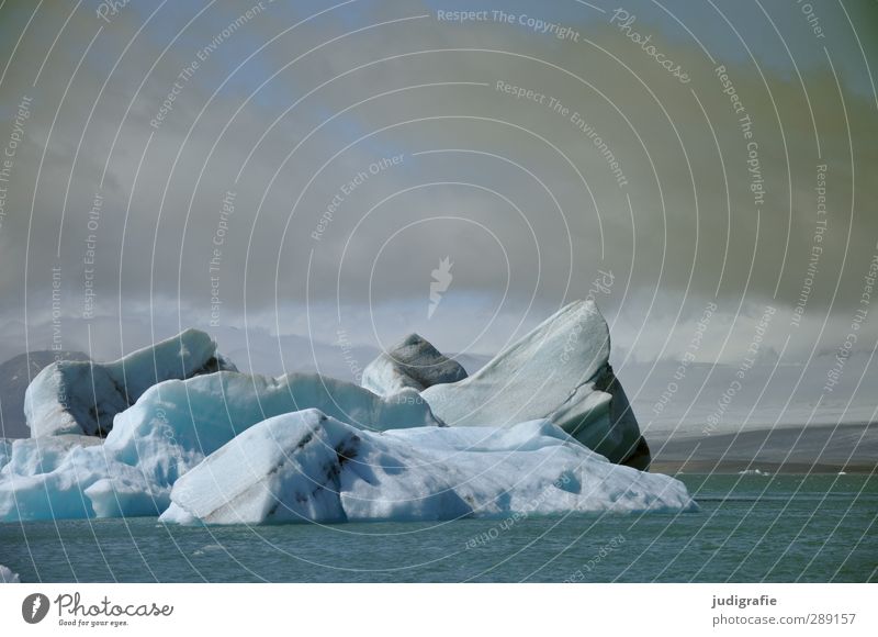 Island Umwelt Natur Landschaft Wasser Klima Eis Frost Gletscher See Jökulsárlón kalt natürlich blau Stimmung Farbfoto Gedeckte Farben Außenaufnahme Menschenleer