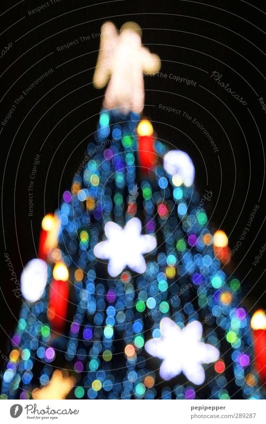 Baum Winter Feste & Feiern Weihnachten & Advent androgyn Körper Stadt Sehenswürdigkeit Zeichen Ornament gigantisch glänzend groß Engel Stern Kerze Lichterkette