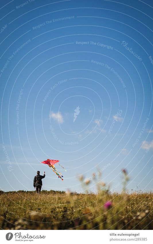 aufsteiger. Freizeit & Hobby maskulin Mann Erwachsene 1 Mensch Himmel Wiese fliegen stehen blau Kindheit Lenkdrachen aufsteigen Abheben Wolken Horizont Farbfoto