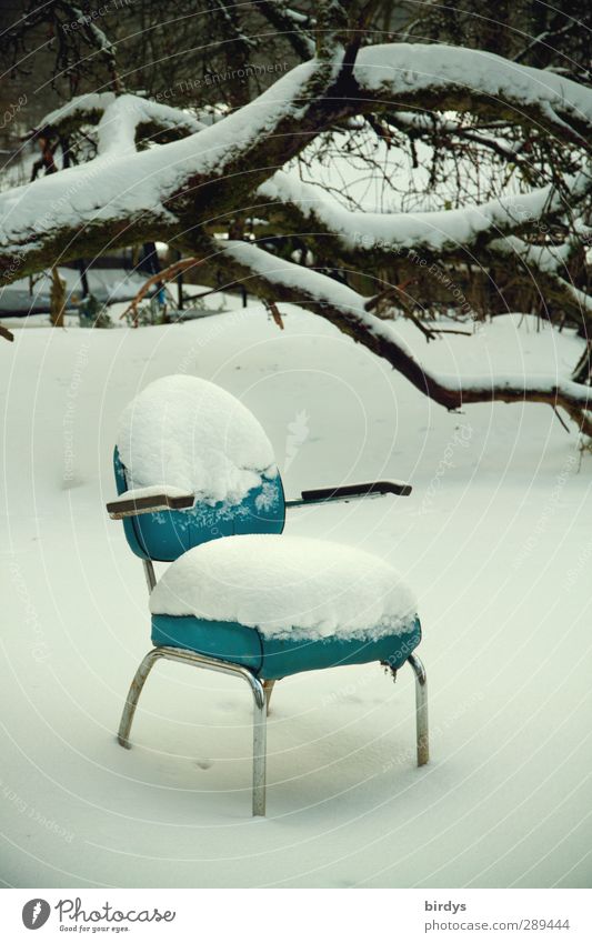 Winter | kühles Polster Möbel Sessel Stuhl Eis Frost Schnee Baum warten außergewöhnlich kalt positiv blau weiß geduldig ruhig Hoffnung Design Frustration