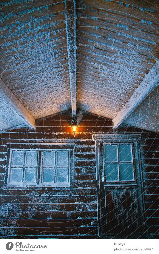 Winter | lasst uns reingehen Berghütte Holzhaus Eis Frost Schnee Hütte Terrasse Fenster Tür Vordach Lampenlicht leuchten kalt Originalität Vorfreude