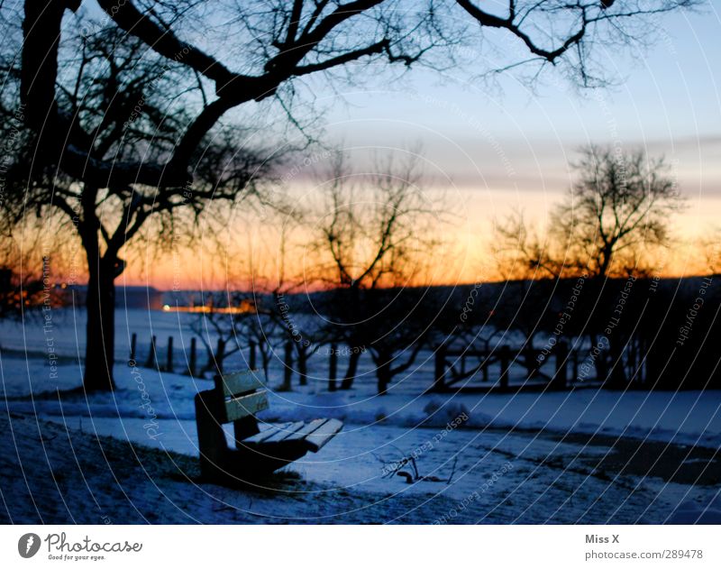 Winter Landschaft Sonnenaufgang Sonnenuntergang Baum Park kalt Schneelandschaft Parkbank Farbfoto mehrfarbig Außenaufnahme Menschenleer Morgendämmerung