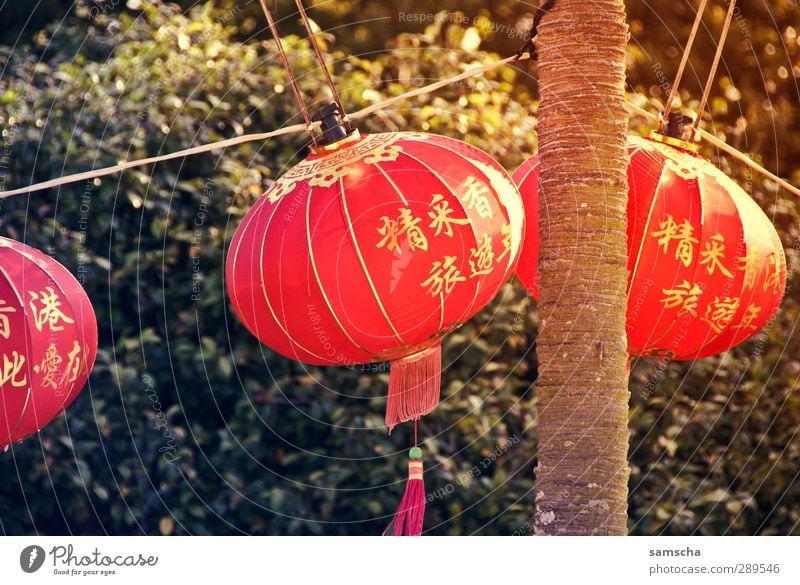 Laternenfest Ferne Feste & Feiern Silvester u. Neujahr Jahrmarkt Kultur Veranstaltung Park hängen leuchten ästhetisch hell rot Lampion China Chinatown