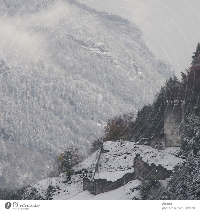 vergangen... Landschaft Urelemente Luft Wolken Winter schlechtes Wetter Nebel Schnee Wald Felsen Alpen Berge u. Gebirge Menschenleer Burg oder Schloss Ruine