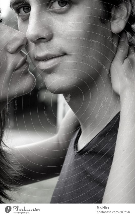 ja. maskulin feminin Paar Partner Haut Gesicht Mund 2 Mensch 18-30 Jahre Jugendliche Erwachsene berühren Küssen Lächeln Umarmen Glück Zufriedenheit Vertrauen