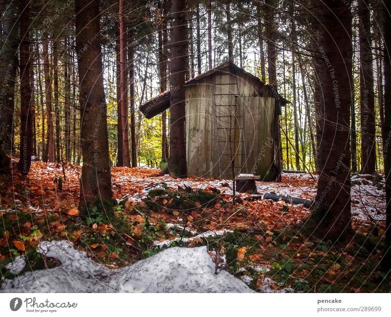 stall Landschaft Herbst Winter Eis Frost Schnee Baum Wald Oase Menschenleer Hütte Holz bescheiden Hoffnung Buchenblatt Tanne Fichte Leiter Stall Einsamkeit