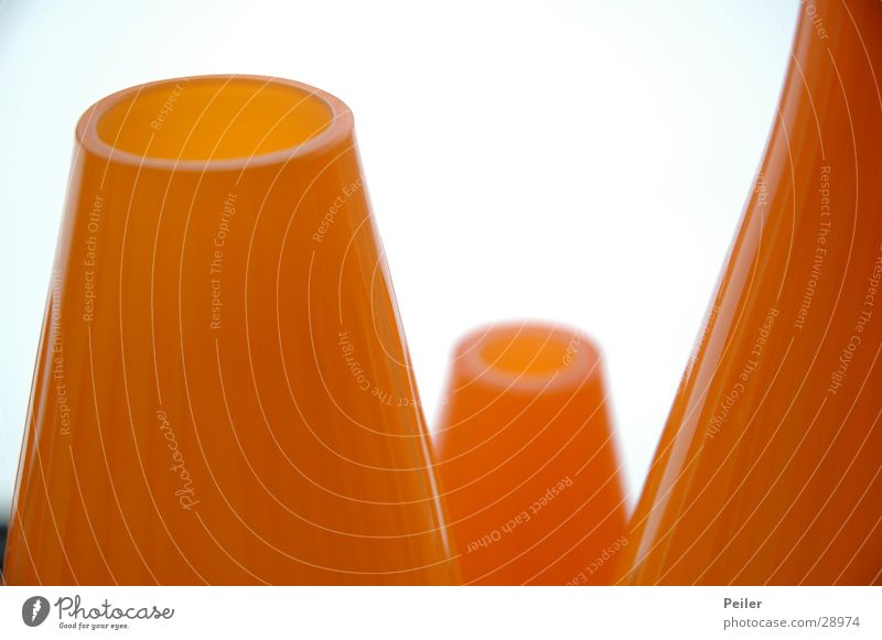 Blumenvasen in orange Vase weiß Stillleben rund Oval Häusliches Leben Glas
