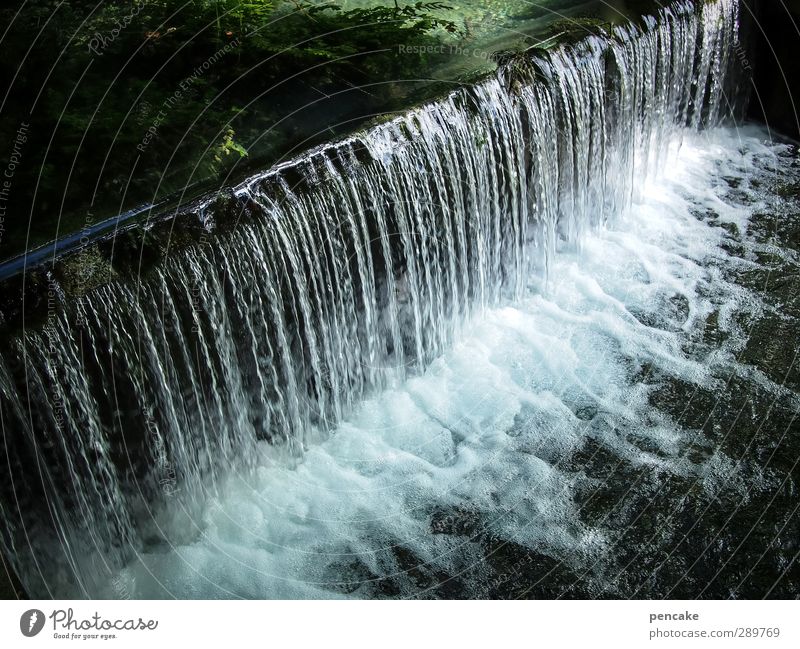 überfluss | unstoppable Natur Urelemente Wasser Frühling Klima Klimawandel Bach Wasserfall Stimmung Menschlichkeit Hemmung staunen überschüssig Farbfoto