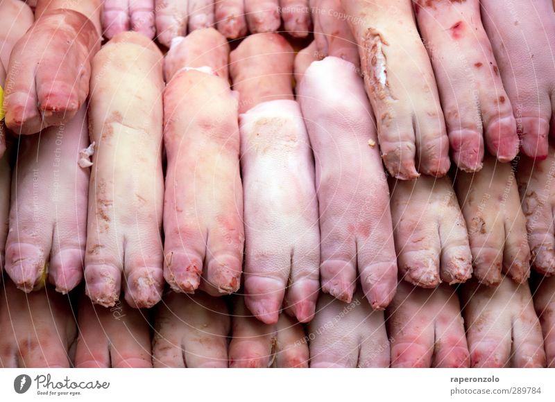 yippie-ya-yeah, schweinebacke! Lebensmittel Fleisch Ernährung Nutztier Totes Tier Pfote rosa Schwein roh Tod Menschenmenge Paarhufer paarweise verkaufen