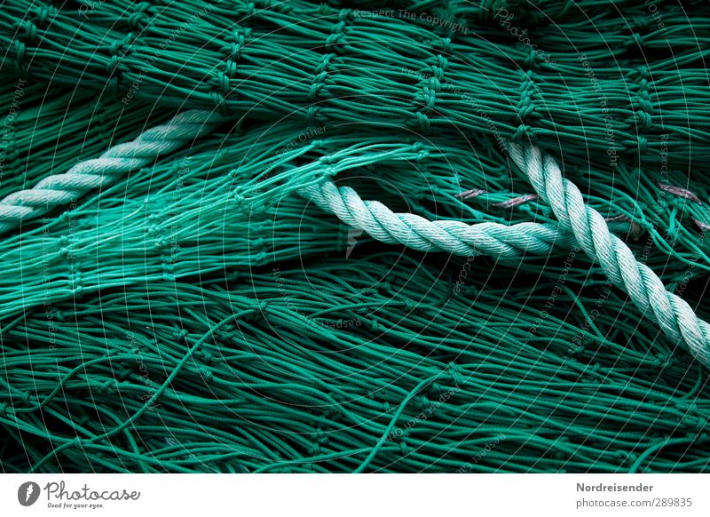 Grün Arbeit & Erwerbstätigkeit Beruf Netz grün Netzwerk Ordnung planen Fischereiwirtschaft Fischernetz Seil Hintergrundbild Strukturen & Formen Farbfoto