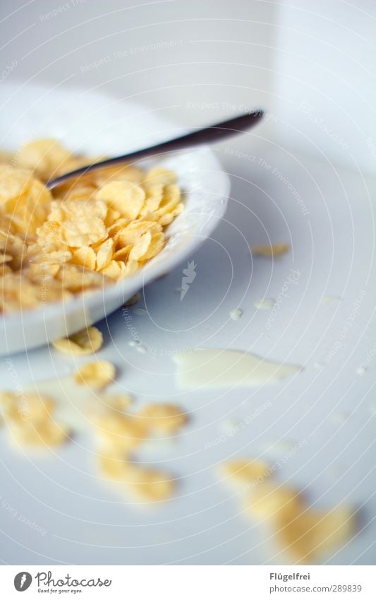 Da fängt der Tag gut an Milch Essen Cornflakes verschütten Missgeschick Löffel Schalen & Schüsseln Küchentisch Frühstück Müsli Gesundheit tollpatschig klecksen