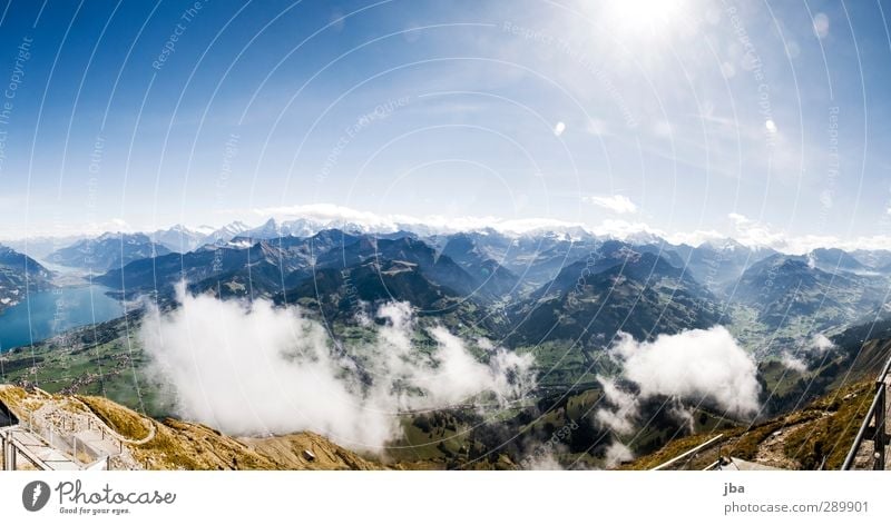 Berner Oberland Leben Erholung ruhig Ausflug Freiheit Sommer Berge u. Gebirge wandern Umwelt Natur Landschaft Urelemente Luft Himmel Wolken Sonne Herbst