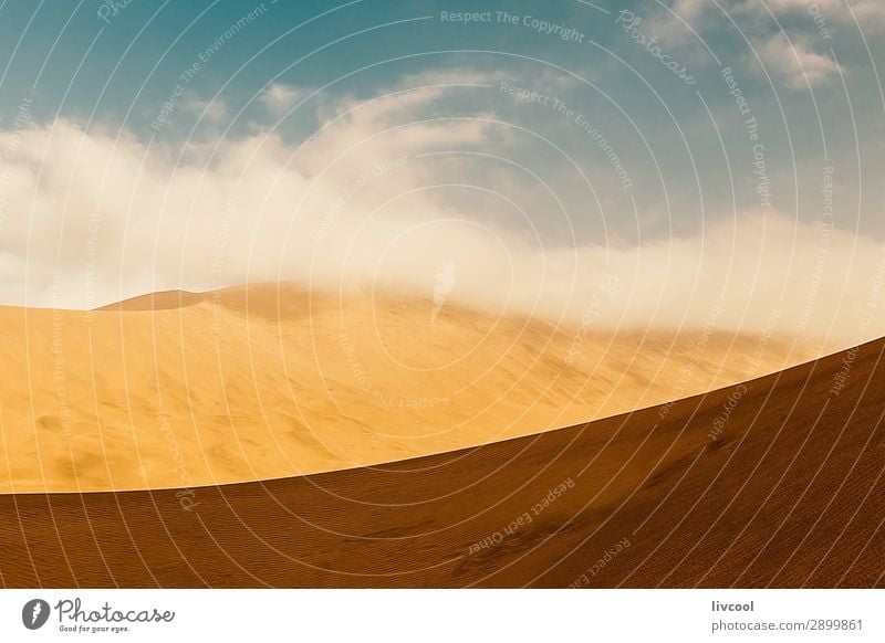 Wüstendünen II, China Erholung Landschaft Sand Himmel Wolken Park Einsamkeit Frieden Hotan wüst Tarim Xinjiang uigur Asien Taklimakan Wüste Karakax Yurungkash