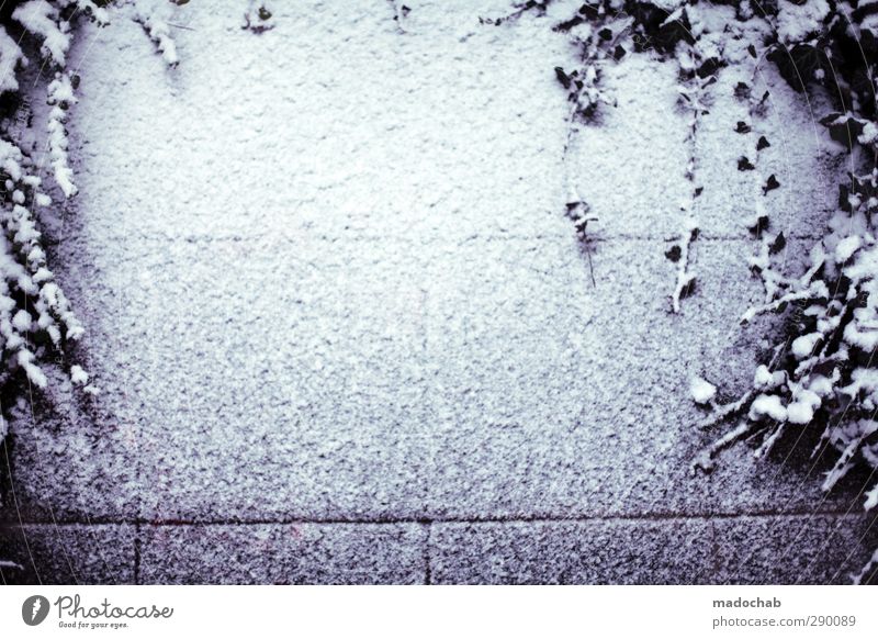 Freiraum elegant Stil Bühne Umwelt Klima Schnee Schneefall Mauer Wand Dekoration & Verzierung Ornament Gefühle Coolness Traurigkeit Zufriedenheit Einsamkeit