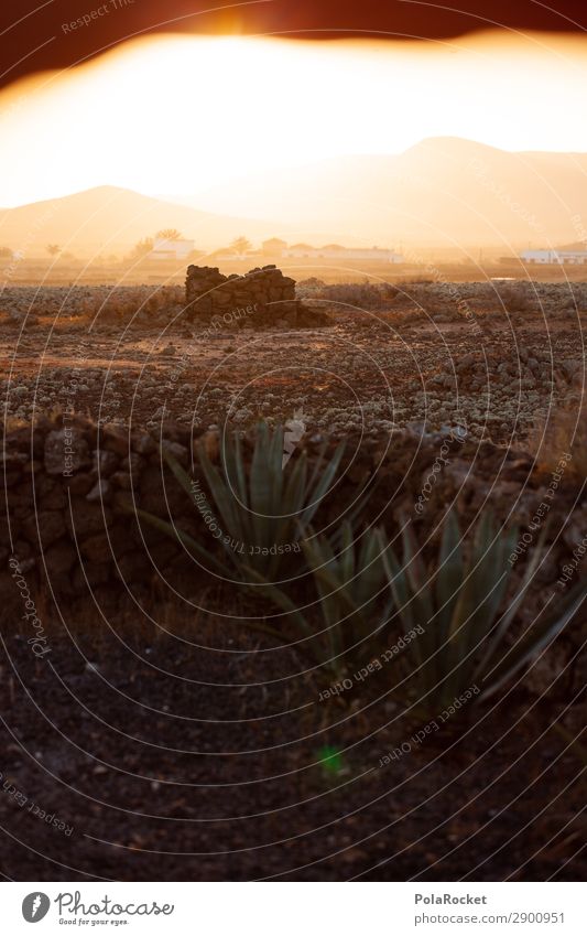 #A# Sonnenblick Umwelt Natur ästhetisch Fuerteventura Sonnenaufgang mediterran Landschaft Landschaftsarchitektur Brunnen Mauer Kaktus Farbfoto Gedeckte Farben