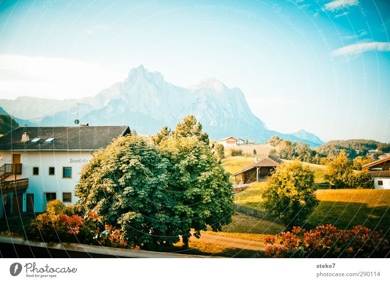 Heimatfilm-Hintergrund Himmel Sommer Schönes Wetter Baum Wiese Alpen Berge u. Gebirge Dorf Einfamilienhaus Balkon retro blau grün Idylle Tourismus