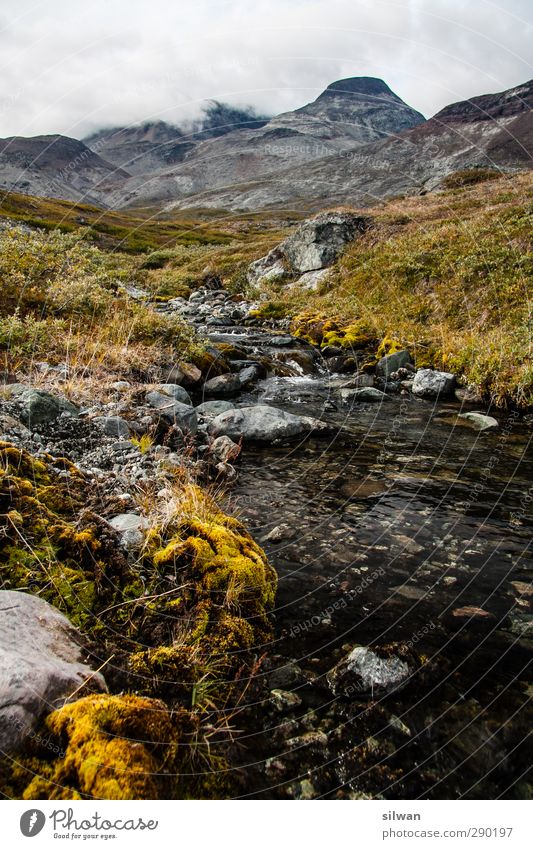 Green(river)land Abenteuer Expedition Natur Landschaft Wasser Herbst schlechtes Wetter Hügel Felsen Berge u. Gebirge frieren Unendlichkeit ruhig Grönland