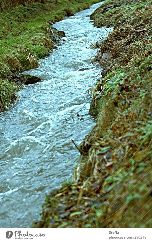 Das Rauschen des Wassers Bach Bachufer Strömung Geräusch fließen Dynamik strömen rauschendes Wasser fliessend Bewegungsenergie blau unruhig hellblau Urelemente