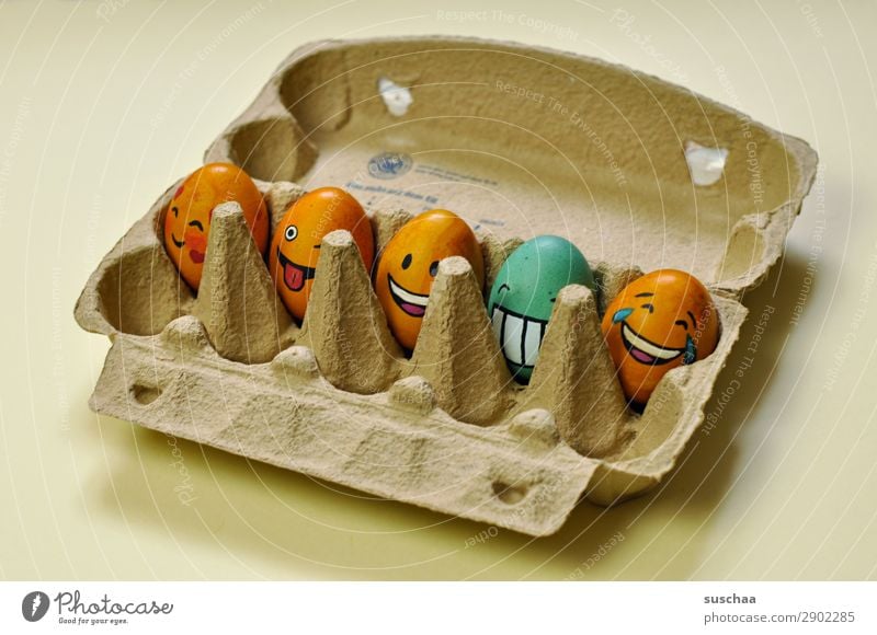 egg-gang im eierkarton Ei Osterei bemalt Kunst Ostern Tradition Feste & Feiern Smiley lachen Witz Humor lustig Freude Gesicht Clique Unsinn Eierkarton Frühling