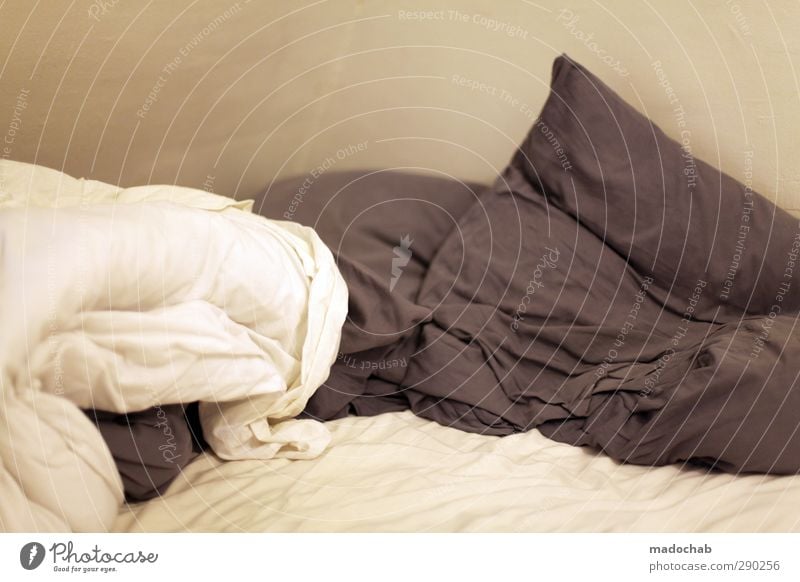 Aufbruch - Bettwäsche Bett Kopfkissen schlafen Schlafzimmer Lifestyle Gesundheit Krankenpflege Wellness harmonisch Wohlgefühl Zufriedenheit Sinnesorgane