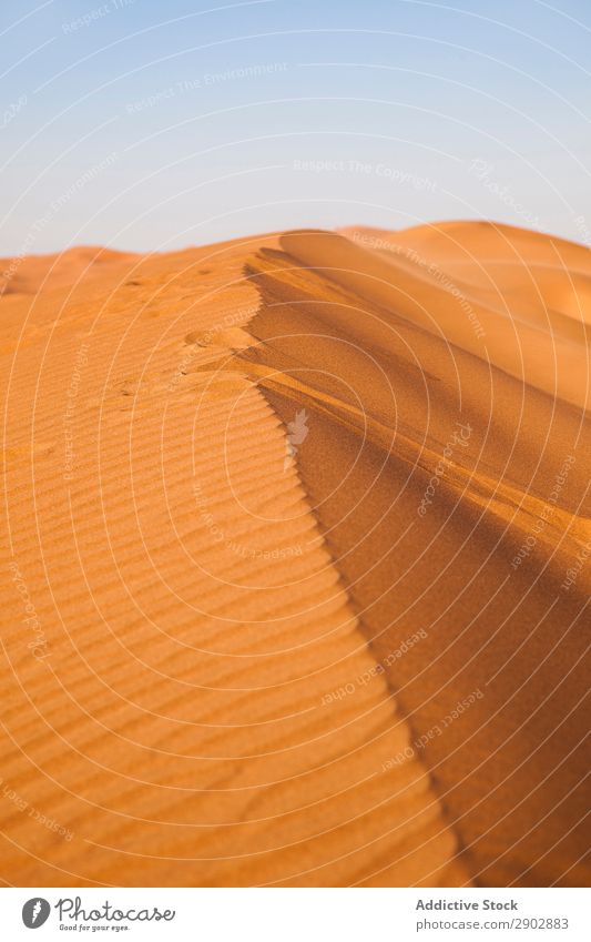 Dünen auf Wüstensand Dunes Sand trocken Dubai Oberfläche Natur regenarm heiß Sonnenstrahlen Tag Wärme Ferien & Urlaub & Reisen Ausflug Gelände Rippeln rau