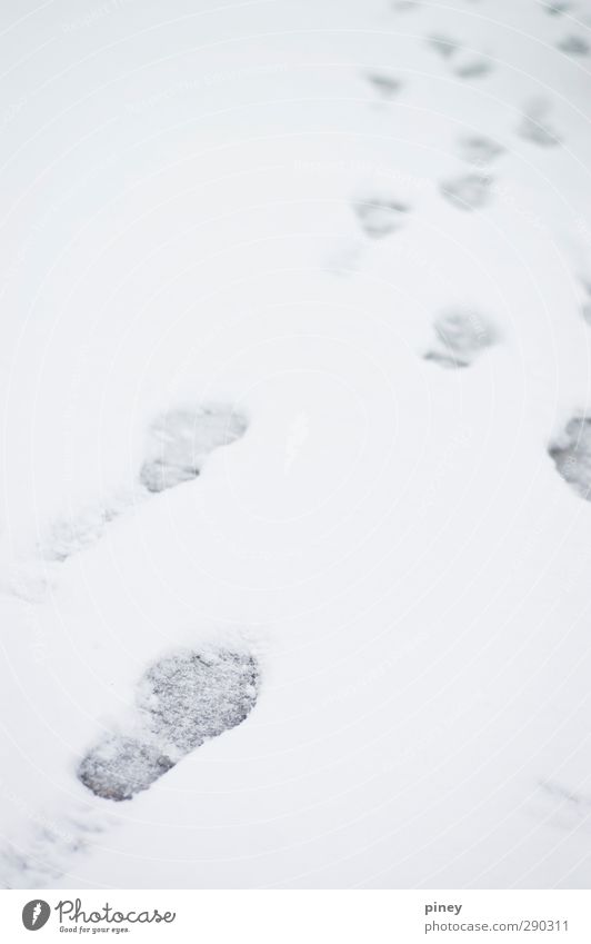 folgen Winter Schnee Schneefall kalt grau weiß Fußspur Blei Schuh Fahrweg Farbfoto Gedeckte Farben Nahaufnahme Menschenleer Schwache Tiefenschärfe