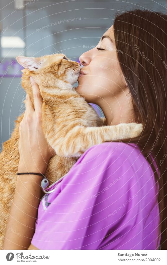 Tierarzt küsst eine kleine Katze. Veterinär Klinik Arzt Krankenschwester Gesundheit Haustier Uniform professionell Arbeit & Erwerbstätigkeit Mitarbeiter Liebe
