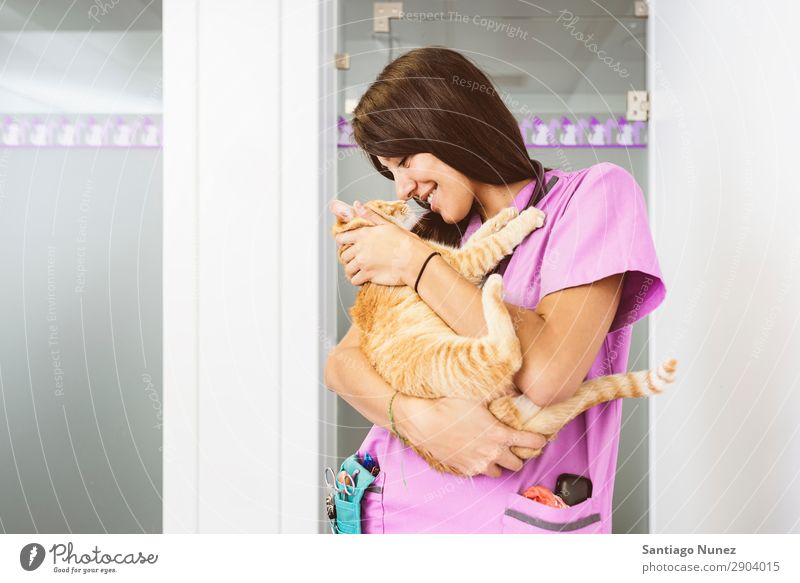 Tierarzt umarmt eine kleine Katze. Veterinär Klinik Arzt Krankenschwester Gesundheit Haustier Uniform professionell Arbeit & Erwerbstätigkeit Mitarbeiter Liebe