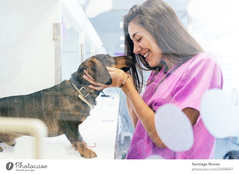 Tierarzt umarmt einen schönen Hund. Veterinär Frau Dose Klinik Arzt Krankenschwester Gesundheit Haustier Uniform professionell Arbeit & Erwerbstätigkeit
