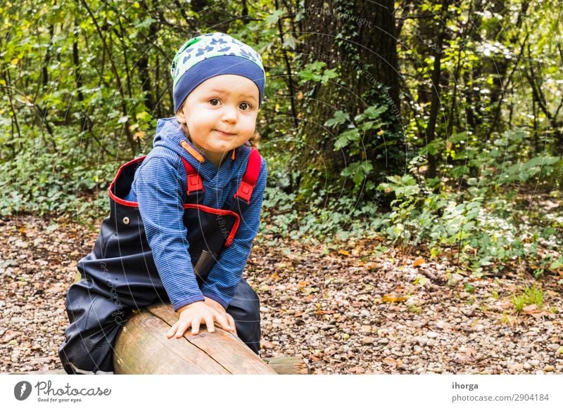 Baby spielt im Herbst auf einem Waldweg. Lifestyle Freude Glück Ferien & Urlaub & Reisen Tourismus Abenteuer Freiheit wandern Halloween Kind Mensch Junge Mann